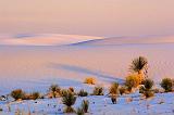 White Sands_32131